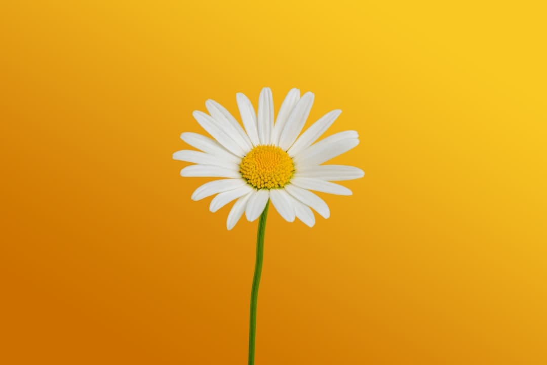 险资一季度调仓途径曝光:加仓高股息财物